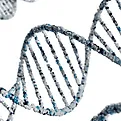 Genetic Information