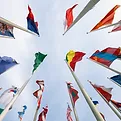 National Origin